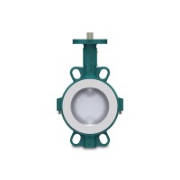 瑞士interApp蝶閥BIANCA DN200技術資料