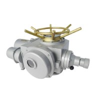 英國RotorkR C200 / RCI200系列蘇格蘭軛氣動執器