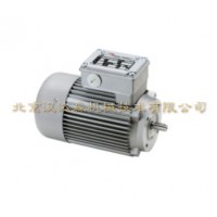 Minimotor直流蝸桿減速電機BC2000技術參數