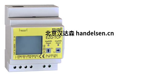 MULLER ZIEGLER電流表 MULLER ZIEGLER電流表