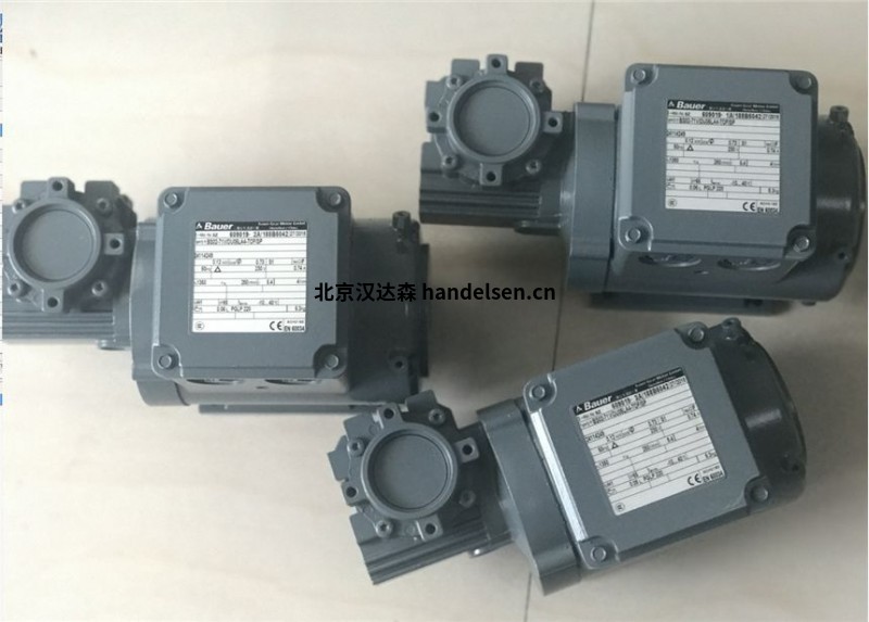 bauer 用于爆炸危險區域的IE4-PM同步齒輪電動機 bauer 用于爆炸危險區域的IE4-PM同步齒輪電動機