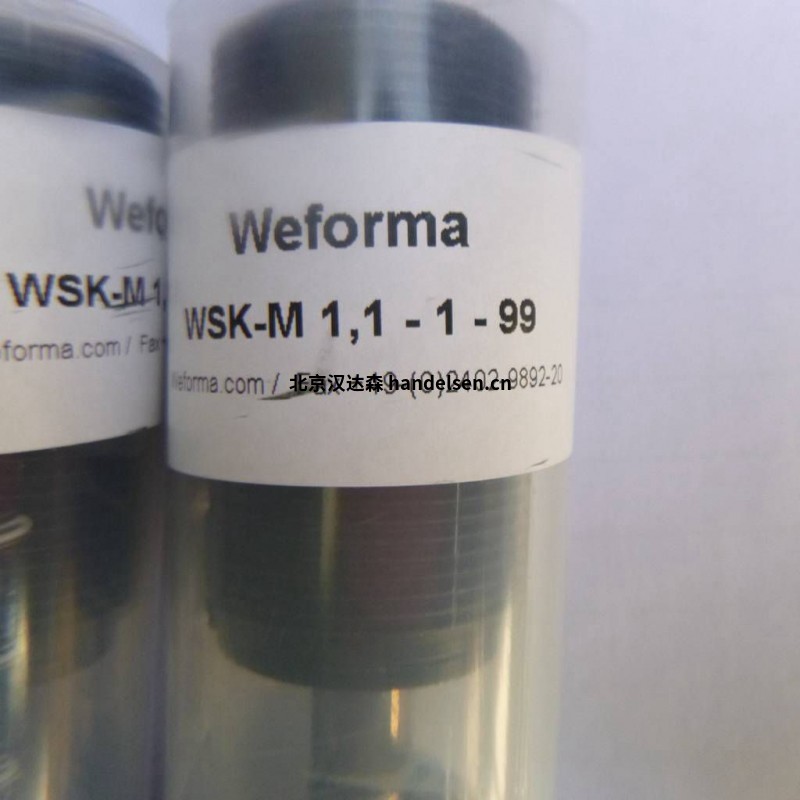 Weforma工業緩沖器旋轉阻尼器 Weforma工業緩沖器旋轉阻尼器