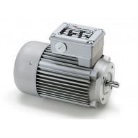 意大利Minimotor進口電動機渦輪蝸桿馬達系統進口供應