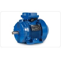 CEMP-IEC 危險區域制動電機- HB70用于石油和天然氣