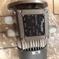 Mini Motor單向電機，異步電機系列展示