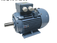 Electramo IE2 鑄鐵殼三相電機 Electramo IE2 鑄鐵殼三相電機