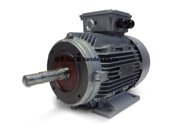 Electramo IE4超高效率三相鑄鐵電機 Electramo IE4超高效率三相鑄鐵電機