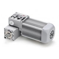 Mini Motor BCE2000 - M 50 B3/B14齒輪泵簡介優勢供應