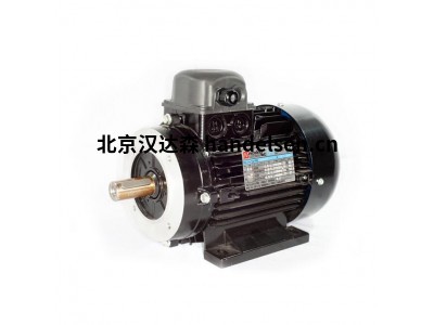 意大利 nicolini-motori 單相異步電動機