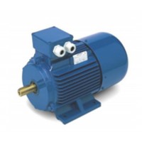 OEMER 電機QCCAS100L系列技術參數
