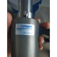 德國rogatti Bewegungstechnik平面聯軸器 NW5-G1/8用于紡織工業
