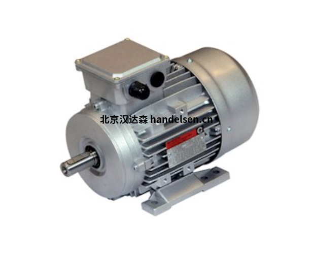 chiaravalli IE1鑄鐵電機CHT 315 LB 2