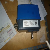 德國schimpf電動執行器01-15·/30 N 3技術參數介紹