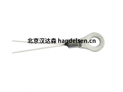 Positek 溫度傳感器ETP-RT 環形端子溫度探頭