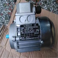 NERIMOTORI   HE2 80B型電機技術參數