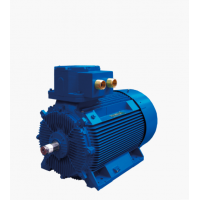 Marelli Motori 是電機和發電機的領先制造商，適用于多種工業領域