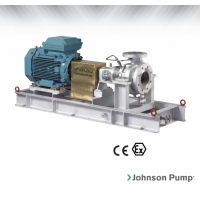 Johnson Pump 重型流程泵，適合化工/石化工業、煉油廠和一般工業應用