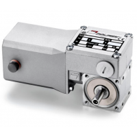 Mini Motor 蝸輪蝸桿直流減速電機BC2000-24MP，永磁直流電，全封閉