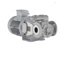 Johnson Pump 內嚙合齒輪泵，適用于中等粘度、清潔和非磨蝕性液體