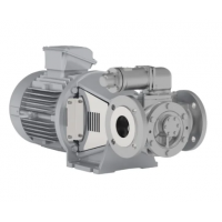 Johnson Pump 內嚙合齒輪泵，適用于中等粘度、清潔和非磨蝕性液體