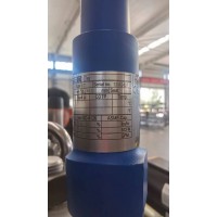 德國LESER 4373.2604用于液體應用的安全閥液化天然氣和液化石油氣行業