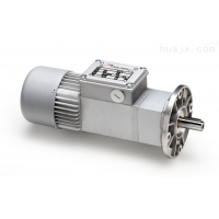 Mini Motor ACCE 48 MP：48V直流動力核心，高效、緊湊、智能控制的典范