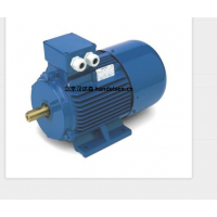 意大利 OEMER 異步電機 MTES3 系列：高效驅動，賦能工業新動能