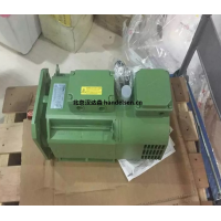 意大利 OEMER 電機 HQL132L：鋼鐵與起重運輸領域的強勁動力之選